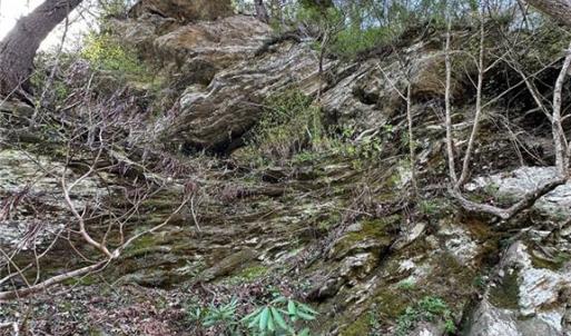 Looking up the cliff