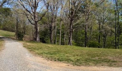 Photo #8 of seven island, Danbury, NC 25.1 acres
