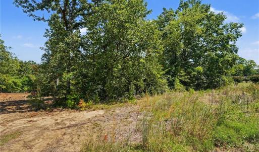 Photo #3 of 146 Mabes, Eden, NC 3.3 acres