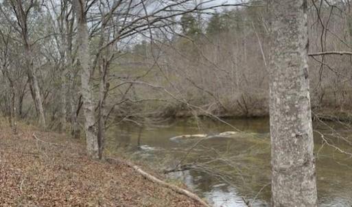 Photo #2 of seven island, Danbury, NC 13.2 acres