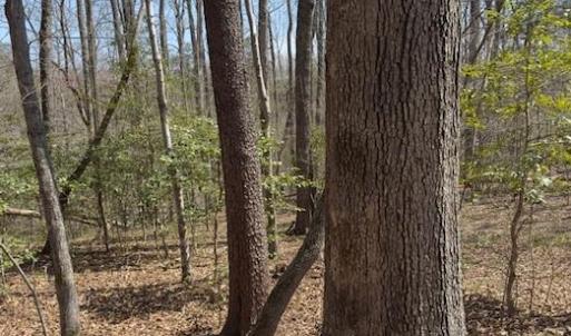 Photo #4 of seven island, Danbury, NC 13.2 acres