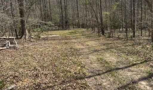 Photo #7 of seven island, Danbury, NC 13.2 acres
