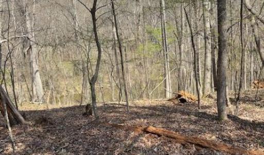 Photo #5 of seven island, Danbury, NC 13.2 acres