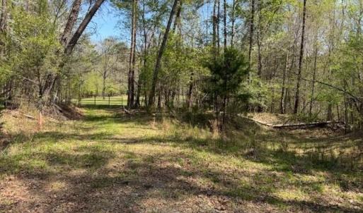 Photo #8 of seven island, Danbury, NC 13.2 acres