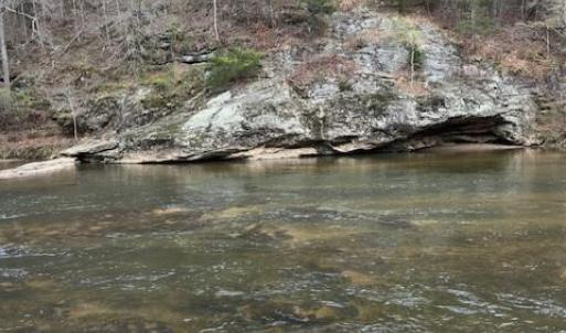 Photo #1 of seven island, Danbury, NC 16.1 acres
