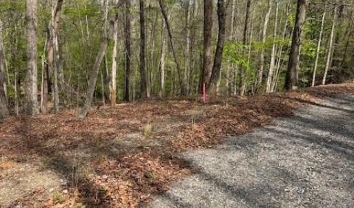 Photo #5 of seven island, Danbury, NC 16.1 acres