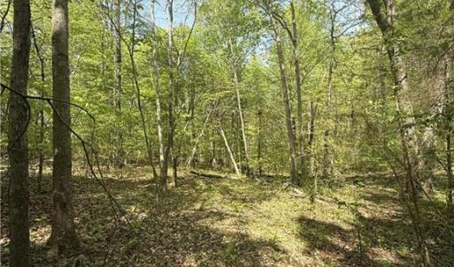 Photo #10 of Cashatt, Trinity, NC 4.9 acres