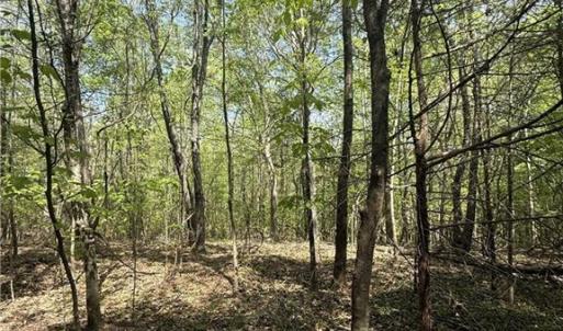 Photo #14 of Cashatt, Trinity, NC 4.9 acres