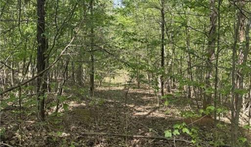 Photo #11 of Cashatt, Trinity, NC 4.9 acres