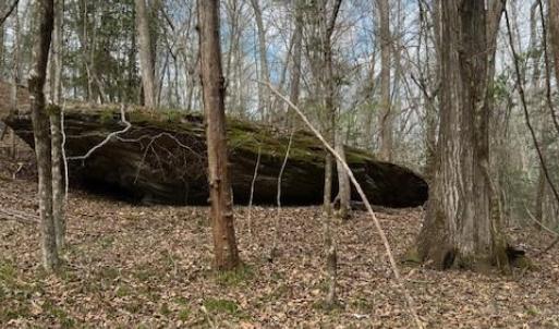 Photo #4 of seven island, Danbury, NC 12.0 acres