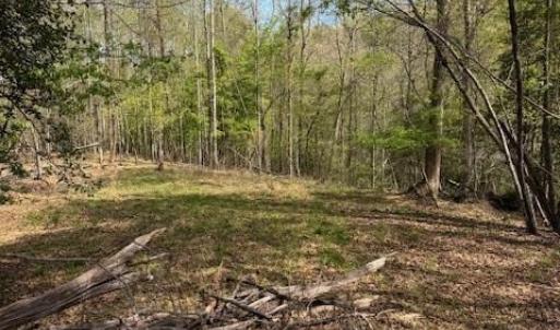 Photo #5 of seven island, Danbury, NC 12.0 acres