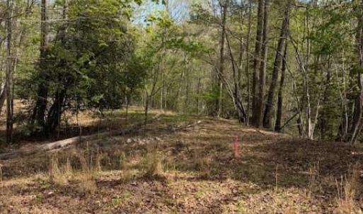 Photo #4 of seven island, Danbury, NC 12.0 acres
