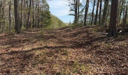 Photo #6 of Crestview, Danbury, NC 13.0 acres