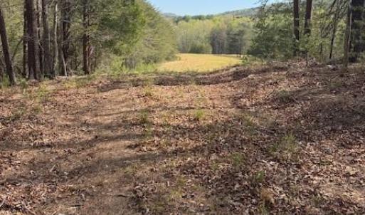 Photo #7 of Crestview, Danbury, NC 13.0 acres