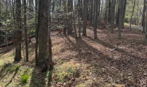 Photo #9 of Crestview, Danbury, NC 13.0 acres