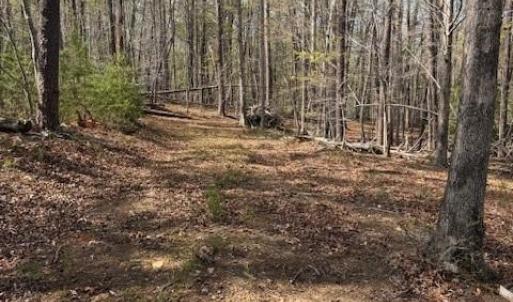 Photo #8 of Crestview, Danbury, NC 13.0 acres