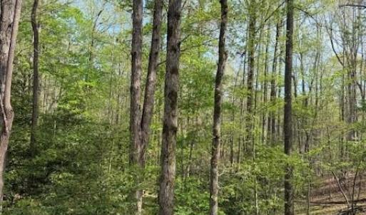 Photo #11 of Crestview, Danbury, NC 13.0 acres