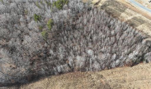 Photo #8 of Pearson farm, Summerfield, NC 3.0 acres