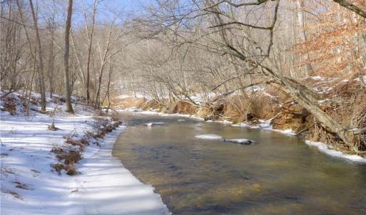 Photo #2 of Otis Woods, Danbury, NC 128.9 acres