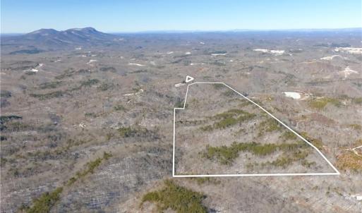 Photo #6 of Otis Woods, Danbury, NC 128.9 acres