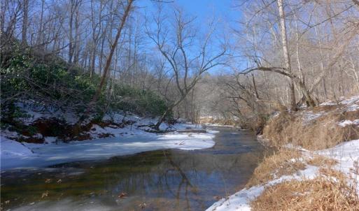 Photo #12 of Otis Woods, Danbury, NC 128.9 acres