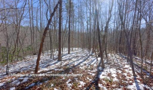 Photo #22 of Otis Woods, Danbury, NC 128.9 acres