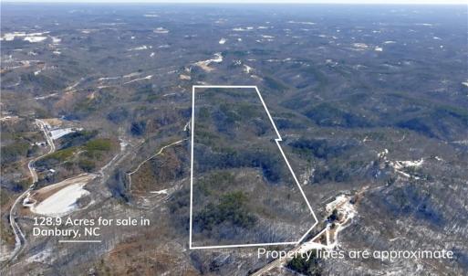 Photo #3 of Otis Woods, Danbury, NC 128.9 acres