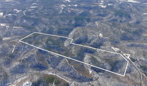 Photo #1 of Otis Woods, Danbury, NC 128.9 acres