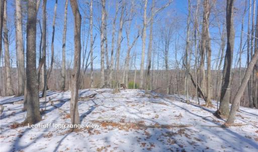 Photo #30 of Otis Woods, Danbury, NC 128.9 acres