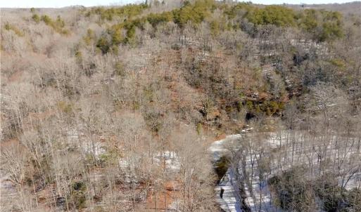 Photo #34 of Otis Woods, Danbury, NC 128.9 acres