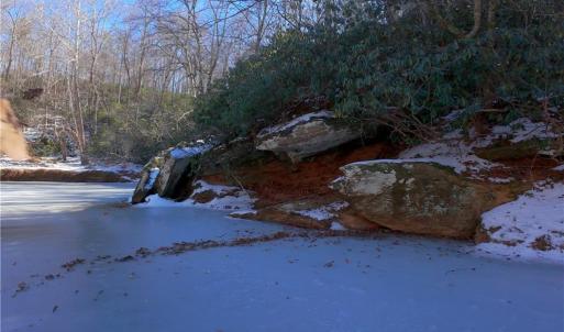 Photo #10 of Otis Woods, Danbury, NC 128.9 acres
