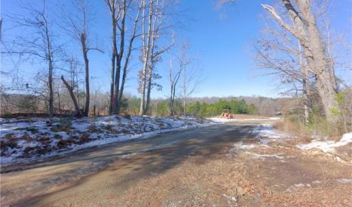 Photo #33 of Otis Woods, Danbury, NC 128.9 acres