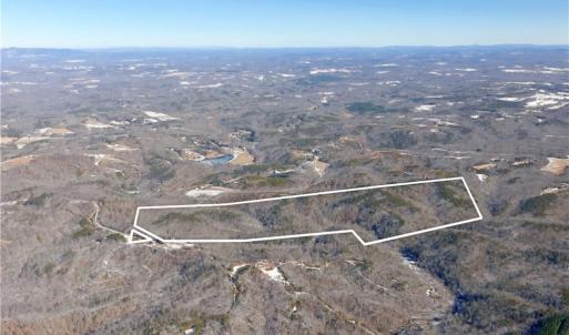 Photo #35 of Otis Woods, Danbury, NC 128.9 acres