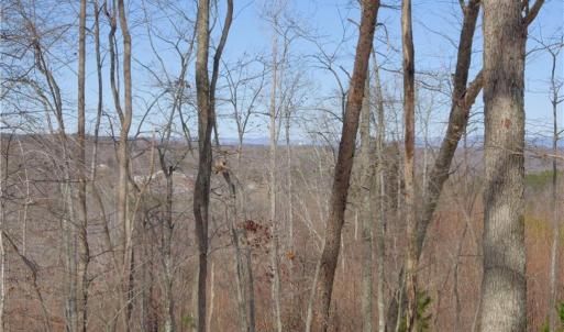 Photo #31 of Otis Woods, Danbury, NC 128.9 acres