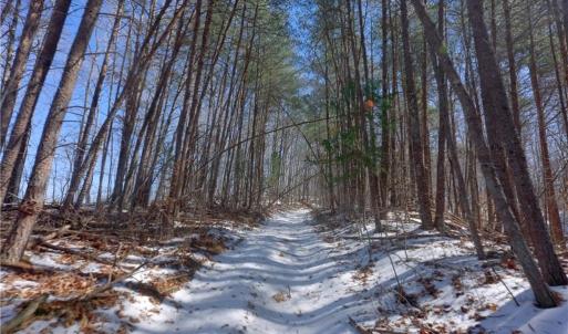 Photo #29 of Otis Woods, Danbury, NC 128.9 acres