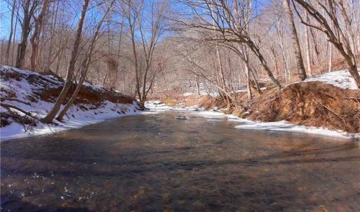 Photo #8 of Otis Woods, Danbury, NC 128.9 acres