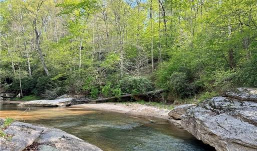 Photo #2 of Otis Woods, Danbury, NC 128.9 acres
