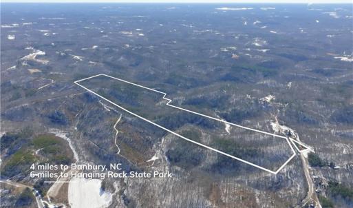 Photo #6 of Otis Woods, Danbury, NC 128.9 acres