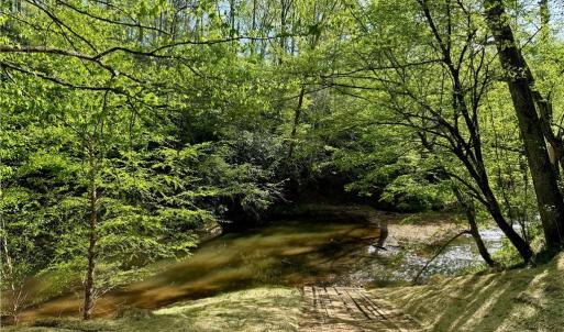 Photo #12 of Otis Woods, Danbury, NC 128.9 acres