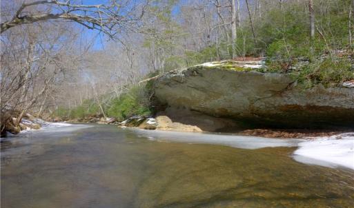 Photo #22 of Otis Woods, Danbury, NC 128.9 acres
