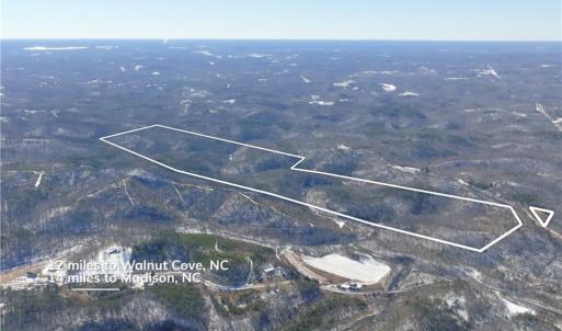 Photo #7 of Otis Woods, Danbury, NC 128.9 acres