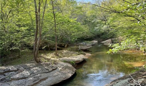 Photo #1 of Otis Woods, Danbury, NC 128.9 acres
