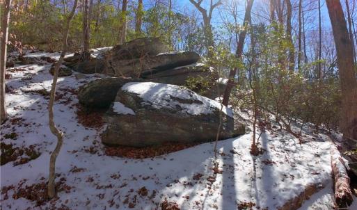 Photo #24 of Otis Woods, Danbury, NC 128.9 acres