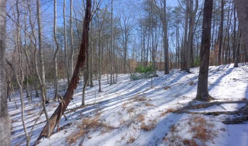 Photo #30 of Otis Woods, Danbury, NC 128.9 acres