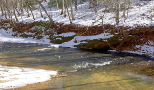 Photo #34 of Otis Woods, Danbury, NC 128.9 acres