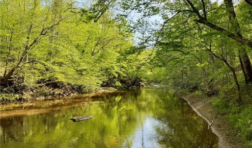 Photo #14 of Otis Woods, Danbury, NC 128.9 acres