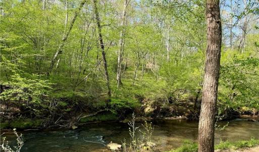 Photo #45 of Otis Woods, Danbury, NC 128.9 acres