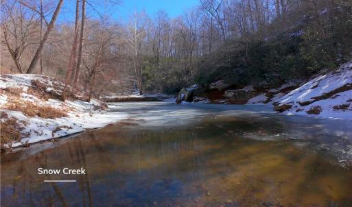 Photo #15 of Otis Woods, Danbury, NC 128.9 acres