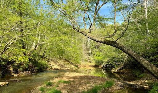 Photo #11 of Otis Woods, Danbury, NC 128.9 acres