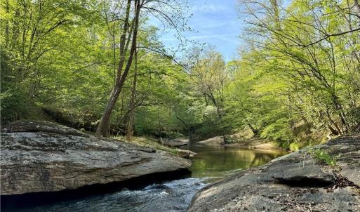 Photo #44 of Otis Woods, Danbury, NC 128.9 acres